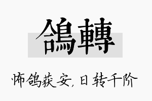 鸽转名字的寓意及含义