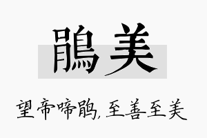 鹃美名字的寓意及含义