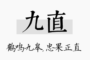 九直名字的寓意及含义