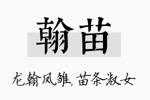 翰苗名字的寓意及含义