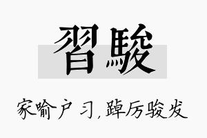 习骏名字的寓意及含义