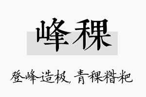 峰稞名字的寓意及含义