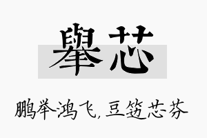 举芯名字的寓意及含义