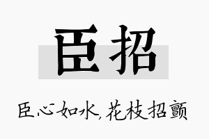 臣招名字的寓意及含义