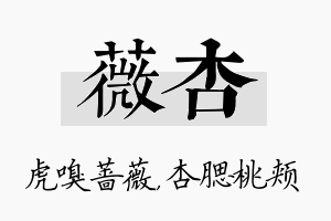 薇杏名字的寓意及含义