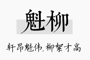 魁柳名字的寓意及含义