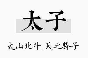 太子名字的寓意及含义