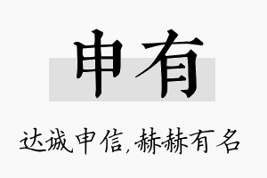 申有名字的寓意及含义