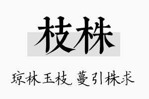 枝株名字的寓意及含义