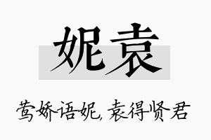 妮袁名字的寓意及含义