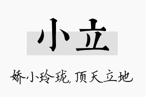 小立名字的寓意及含义