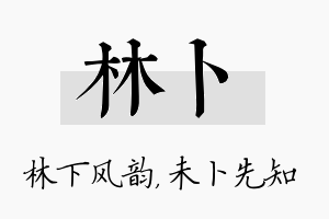 林卜名字的寓意及含义