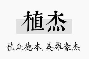 植杰名字的寓意及含义