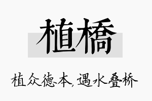 植桥名字的寓意及含义