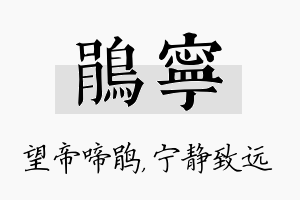 鹃宁名字的寓意及含义