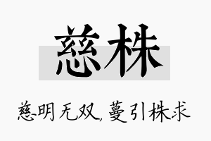 慈株名字的寓意及含义