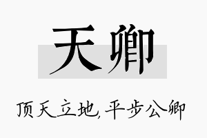 天卿名字的寓意及含义