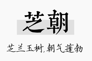 芝朝名字的寓意及含义