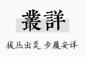 丛详名字的寓意及含义