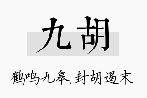 九胡名字的寓意及含义