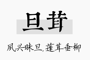 旦茸名字的寓意及含义