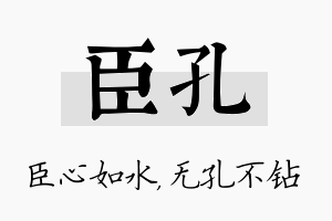 臣孔名字的寓意及含义