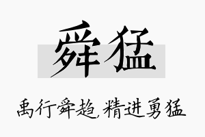 舜猛名字的寓意及含义