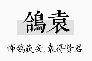 鸽袁名字的寓意及含义