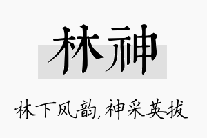 林神名字的寓意及含义