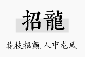 招龙名字的寓意及含义