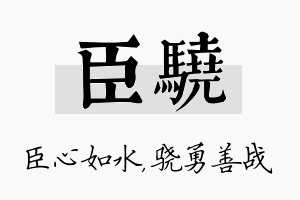 臣骁名字的寓意及含义