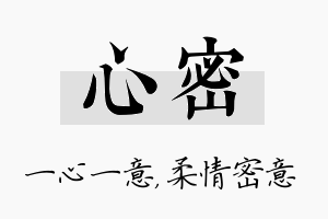 心密名字的寓意及含义