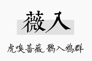 薇入名字的寓意及含义