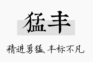 猛丰名字的寓意及含义