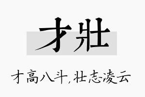 才壮名字的寓意及含义