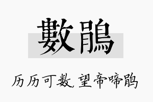 数鹃名字的寓意及含义