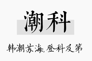 潮科名字的寓意及含义