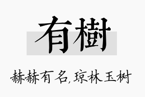 有树名字的寓意及含义