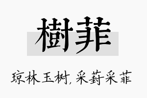 树菲名字的寓意及含义