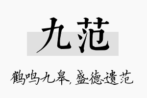 九范名字的寓意及含义