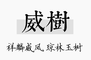 威树名字的寓意及含义