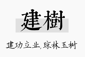 建树名字的寓意及含义