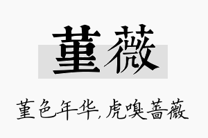 堇薇名字的寓意及含义