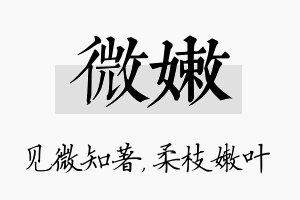 微嫩名字的寓意及含义