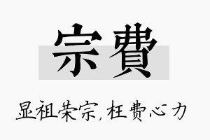 宗费名字的寓意及含义