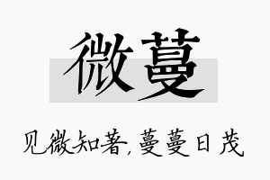 微蔓名字的寓意及含义