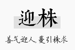 迎株名字的寓意及含义