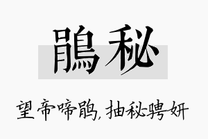 鹃秘名字的寓意及含义