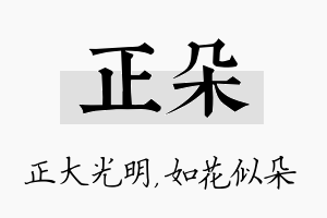 正朵名字的寓意及含义