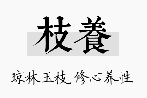 枝养名字的寓意及含义